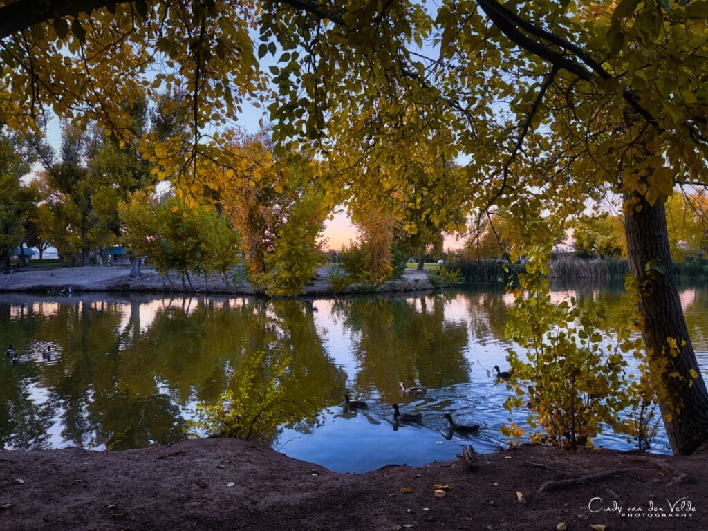 Floyd Lamb Park, Autumn Color